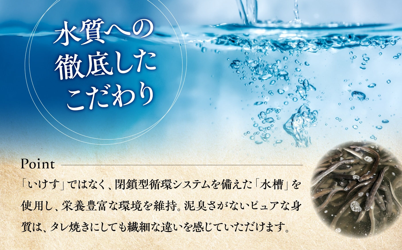 鰻 うなぎ ウナギ 蒲焼き かば焼き 国産　無投薬 ギフト 冷凍 土用の丑の日