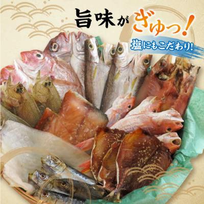ふるさと納税 糸島市 【全6回定期便】塩にもこだわり 玄海の海 旬の干物 大満足セット(5から6人向け)[ALD009] |  | 01