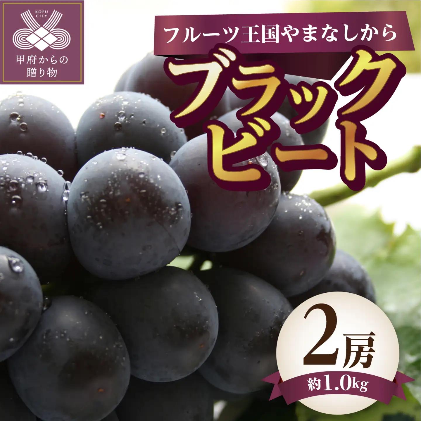 【ふるなび限定】〈2026年度配送分〉ブラックビート 2房（約1.0kg）　FN-Limited-SP