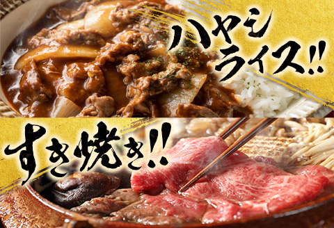 【令和8年4月から毎月配送】赤身肉の4か月定期便 数量限定 黒毛和牛 赤身 牛肉 お楽しみ 定期便 総重量1.7kg 肉 焼肉 ステーキ すき焼き しゃぶしゃぶ スライス ブロック 牛丼 赤身もも 国