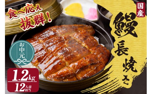 
                  【お中元用】国産特大うなぎ長焼き６尾(約２００ｇ)　合計約１，２００ｇ（3540）
                