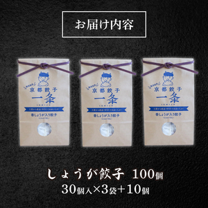 しょうが餃子100個 訳あり餃子 冷凍餃子 惣菜餃子 冷凍生餃子 京都餃子  