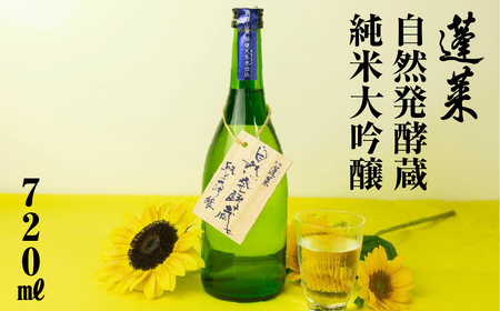 先行予約 蓬莱自然発酵蔵 純米大吟醸 [S869] [ 渡辺酒造店 ]