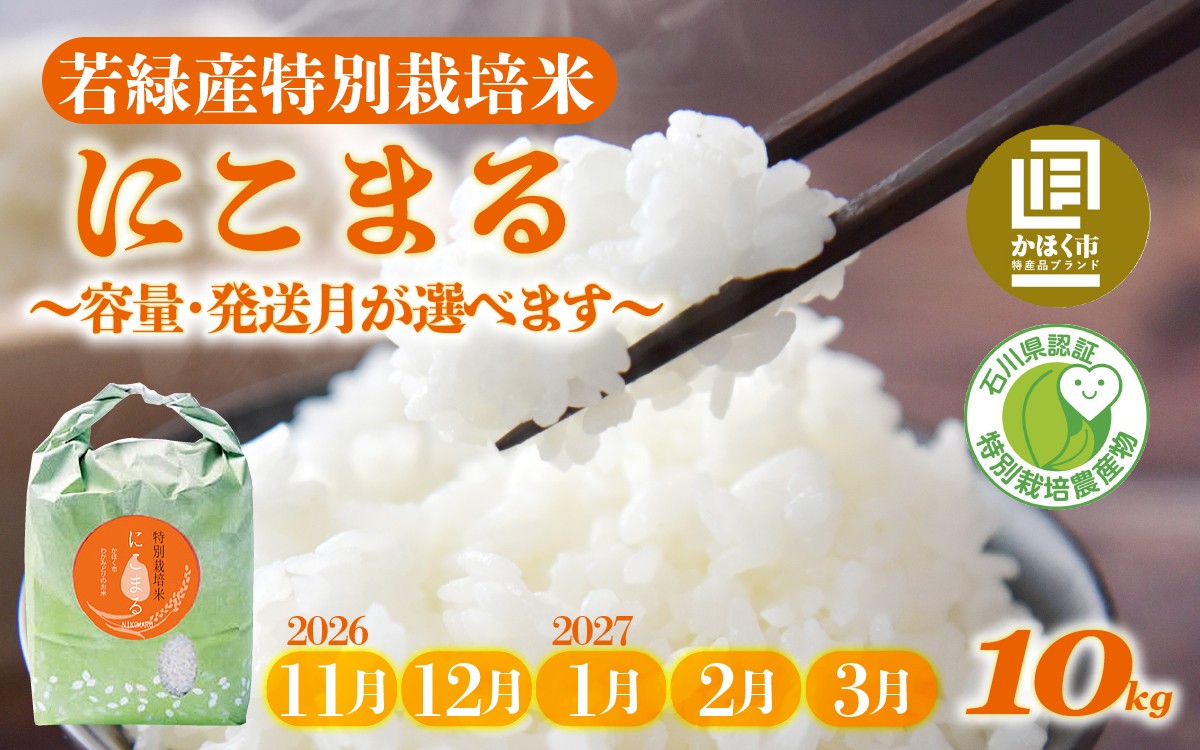 
                  【令和8年産 新米】【発送月が選べる】若緑産 特別栽培米「にこまる」10kg（5kg × 2袋）【2026年11月～2027年3月発送】 / 令和8年産 米 単一原料米 ニコマル 国産 こめ コメ 食品 常温 ご飯 お取り寄せ 10キロ
                
