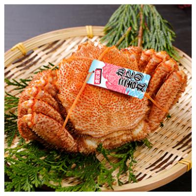 ふるさと納税 白老町 【浜ゆで】北海道産 冷凍ボイル毛ガニ (1尾620g〜660g前後) 1尾