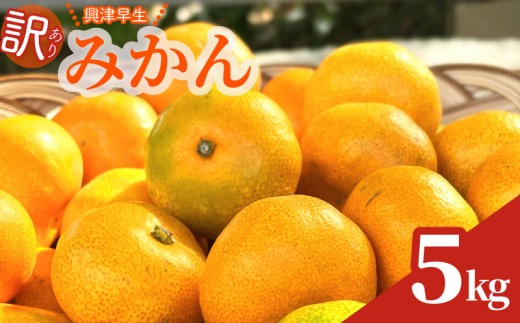 【数量限定】訳あり 早生みかん 約 5kg 興津 早生 温州 みかん 先行予約 2026年 11月 上旬 から 発送 期間限定 早生みかん わせみかん ミカン 蜜柑 mikan 柑橘 果物 フルーツ ふるーつ 興津早生 日南早生 おやつ 果汁 果実 農家直送 産地直送 ギフト プレゼント 贈答 お中元 お歳暮 美味しい 新鮮 国産 静岡みかん 静岡蜜柑 わけあり minorien 牧之原市 静岡県