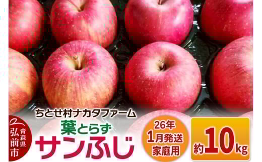【26年1月発送】りんご【家庭用】葉取らずサンふじ 約10kg【レビューキャンペーン】