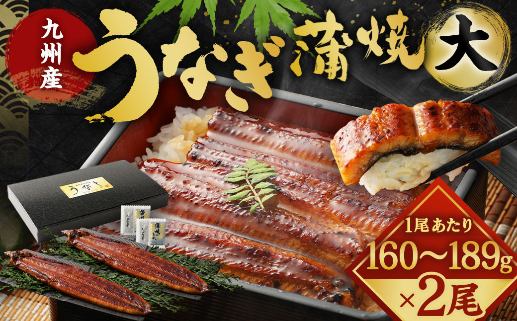 【丑の日／配達日指定可能】九州産 うなぎ 蒲焼 大 2尾 (1尾あたり160～189g)