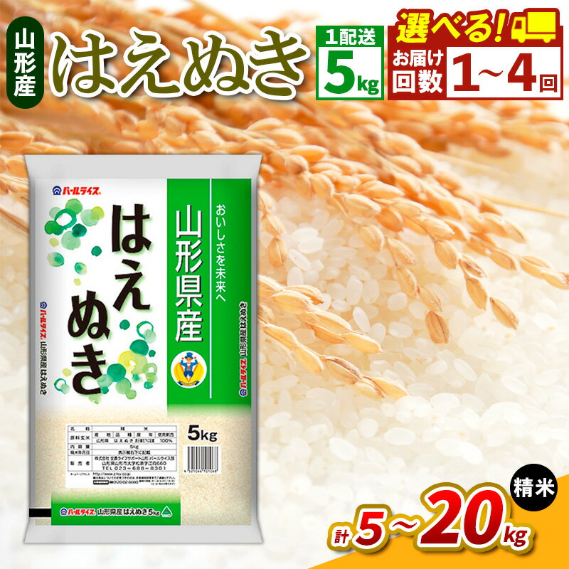 【ふるさと納税】山形県産 はえぬき 精米 5kg FZ26-846 1回 2回 3回 4回 定期便 配送回数 発送回数 選べる