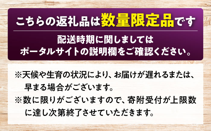 【先行予約】【8月下旬から9月中旬に順次発送】　ピオーネ 2kg（4から5房）　ぶどう 葡萄 フルーツ 果物 くだもの ぶどう ピオーネ 三次市/芝床農園 [APCK002]