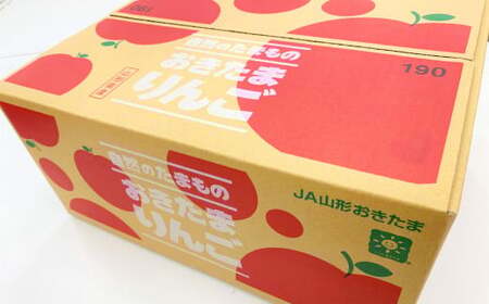 【訳あり品】 りんご（サンふじ・〇秀） 約5kg 14玉～23玉   リンゴ 林檎 果物 【2025年11月下旬-12月上旬発送予定】