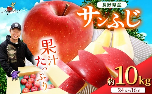 【先行受付：11月中旬頃～発送】サンふじ 10kg(24～36玉) ｜ ふるさと納税 松本市 家庭用 サンふじ りんご 林檎 果物 フルーツ 信州 美味しい