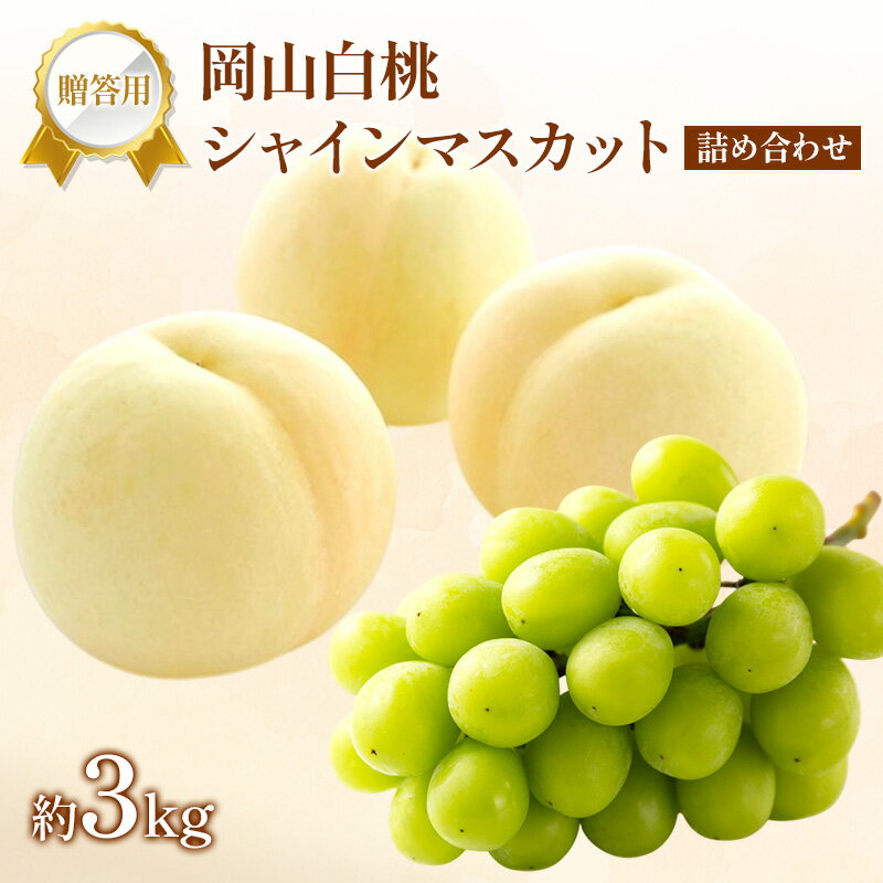 【ふるさと納税】桃 ぶどう 2026年 先行受付 贈答用 白桃 シャインマスカット 詰め合わせ 約3kg フルーツ 果物 岡山 赤磐市　お届け：2026年8月10日～2026年8月31日