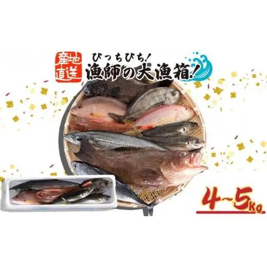 海鮮BOX 4kg以上 旬のお魚 海鮮詰め合わせ