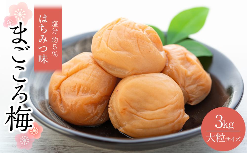 極上 紀州南高梅 はちみつ 梅干し 3L サイズ以上 合計 3kg ( 1kg × 3 )  塩分約5％ 化粧箱入り 304018_CS014