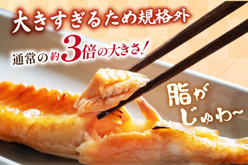 訳あり 大トロ サーモン トロ ハラス フィレ 加熱用 甘塩味 総重量1kg 3-7枚入 [足利本店 宮城県 気仙沼市 20565053] 魚介類 海鮮 さけ サケ シャケ 鮭 お刺し身 刺し身 はら