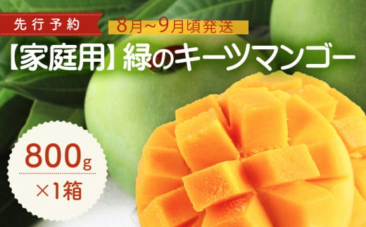 【家庭用】緑のキーツマンゴー800g以上【2025年8月～9月頃発送】