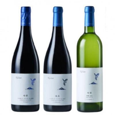 ふるさと納税 甲州市 フジクレール 吟果マスカット・ベーリーA・峡東マスカット・ベーリーA・吟果甲州 3本セットD-685