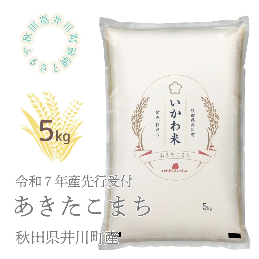 【ふるさと納税】【令和7年産先行予約】あきたこまち　5kg　精米　秋田県井川町産