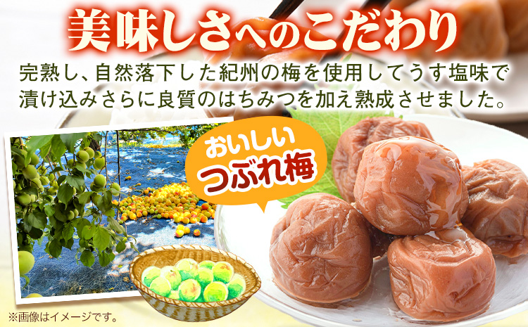 南高梅 はちみつ 梅 紀州南高梅 つぶれ 梅干し 900g 有限会社プラム《30日以内に出荷予定(土日祝除く)》和歌山県 日高町 送料無料 梅 うめ ウメ 南高梅 つぶれ梅 蜂蜜 紀州 梅干し訳あり梅