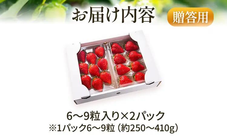 いちご あまおう 6～9粒入×2P R9年1月以降発送 いちご
