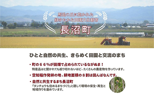 【令和7年産・無洗米・真空パック】長沼町産ゆめぴりか 2kg×1袋