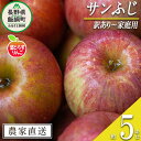 【ふるさと納税】 りんご 葉とらず サンふじ 訳あり 5kg フレッシュフルーツミカズキ 沖縄県への配送不可 令和6年度収穫分 長野県 飯綱町 〔 傷 不揃い リンゴ 林檎 果物 フルーツ 信州 長野 15000円 予約 農家直送 〕発送時期：2024年11月中旬～2025年1月下旬 {*}