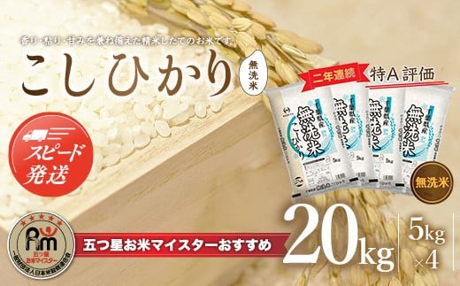 
                  【最短2～7営業日出荷】令和7年産 2年連続特A評価!千葉県産コシヒカリ20kg無洗米（5kg×4袋） 無洗米 20kg 千葉県産 大網白里市 コシヒカリ お米 米 こめ 送料無料
                