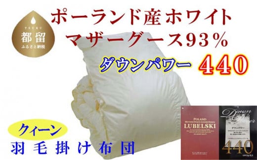 【掛け布団】ポーランド産マザーグース93％ 羽毛掛け布団（クイーン：220cm×210cm）（ダウンパワー440）【サカキュー】｜羽毛布団 羽毛ふとん 羽毛掛けふとん 羽毛　ダウン　布団　ふとん　クイーン　掛けふとん　掛け布団