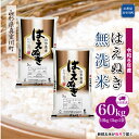 【ふるさと納税】 令和6年産 真室川町厳選 はえぬき ＜無洗米＞ 60kg 定期便（10kg×6回お届け）