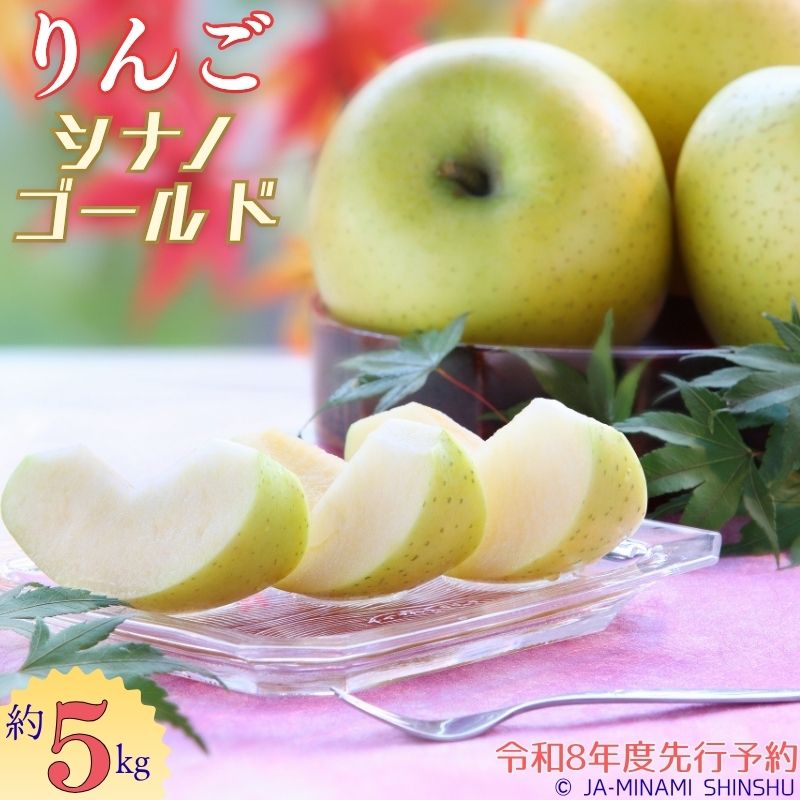 【ふるさと納税】J12 シナノゴールド 約5kg りんご 5kg