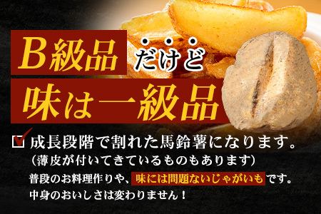 【先行予約】【B級品】(割れ) じゃがいも 馬鈴薯 (バレイショ) ≪2L～L≫ 約10kg×1箱 /ニシユタカ (約30個) ≪2026年3月20日頃より順次発送≫ CS-2 |  家庭用 南大隅町