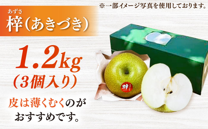 【100年続く梨農家直送】【化粧箱入り】梓（あきづき）3個入（約1.2kg） / 梨 なし 伊万里梨 フルーツ 果物 / 佐賀県 / 大川三世代 [41AEAB001]