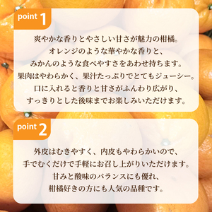はれひめ 約3kg 【2026年12月下旬頃から順次発送】 | 晴姫 ハレヒメ 柑橘 はれひめ 蜜柑 ミカン mikan フルーツ 果物 みかん くだもの デザート 産地直送 数量限定 国産 送料無料