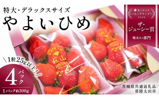 
                  《 2027年 収穫分 》 朝摘み やよいひめ 特大・デラックスサイズ 約300g×4パック (茨城県共通返礼品 常陸太田市) 先行予約 檜山いちご園 国産 朝採り 朝採れ 大粒 いちご イチゴ 苺 くだもの 果物 フルーツ 冬 春 旬 [DY014sa]
                