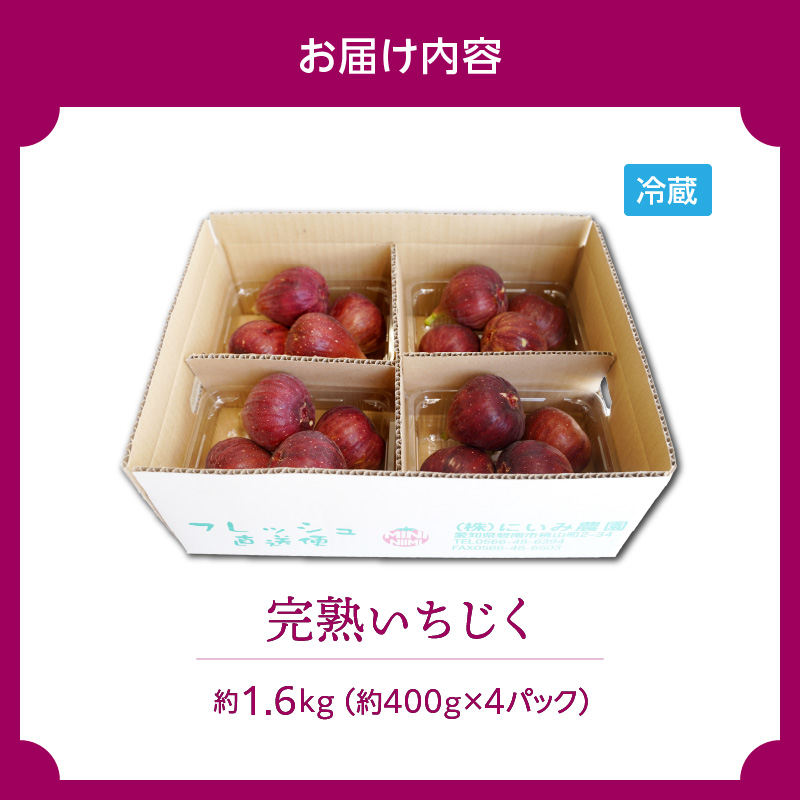 【ハウス栽培】朝もぎ フレッシュな完熟いちじく 碧南市 にいみ農園 フルーツ いちじく トマト農家 H031-006