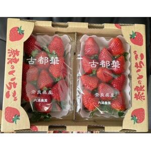 内浦いちご農園　古都華　270g×2パック【配送不可地域：離島・北海道・沖縄県】【1693515】