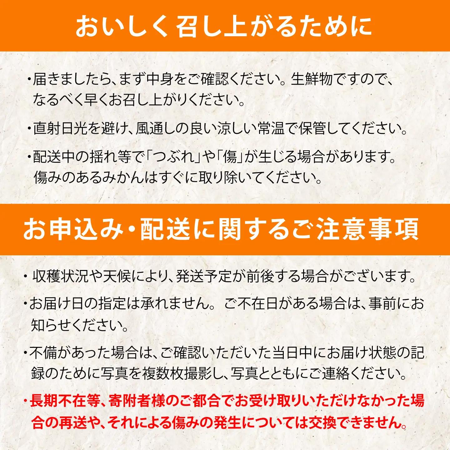 【2回定期便】伊木力温州みかん5kg (ご家庭用、箱入り) / 伊木力 温州みかん みかん ミカン 蜜柑 佐瀬 諫早 多良見 長崎 / 末永果樹園[AHBD010]