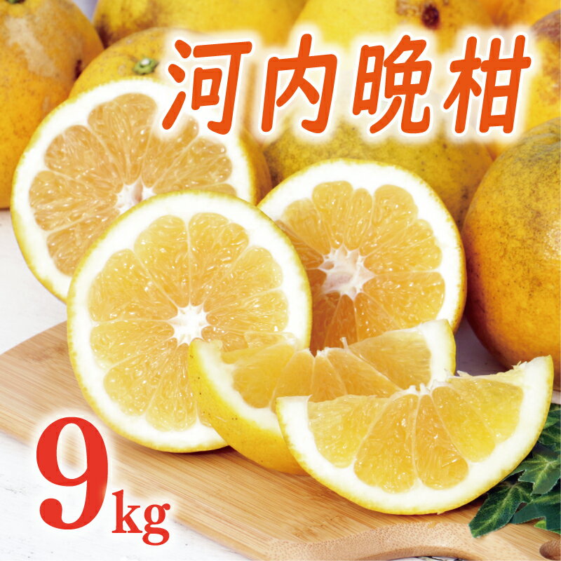 【ふるさと納税】 高評価 ★4.68 先行予約 選べる 規格 河内晩柑 樹齢 20年以上 9kg 訳あり 9000円 通常品 12000円 みかん わけあり かわちばんかん 愛南ゴールド あいなん ゴールド 国産 特産品 期間限定 ジュース フルーツ 果物 柑橘 くらもとファーム 愛南町 愛媛県