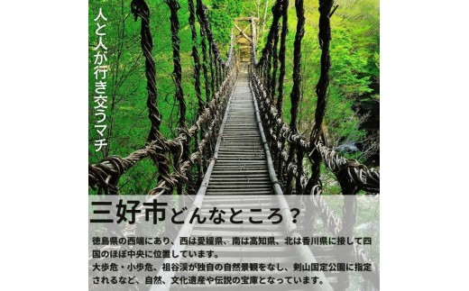 【 訳あり】 栗 1kg 国産 生栗 L LLサイズ 品種無選別 家庭用 訳あり栗 秋の味覚 栗ご飯 渋皮煮 甘露煮 焼き栗 くり クリ お菓子作り 旬
