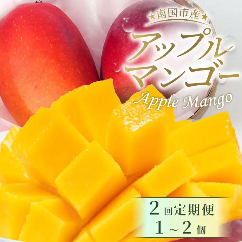 【2回定期便】アップルマンゴー 500g 【マンゴー フルーツ】