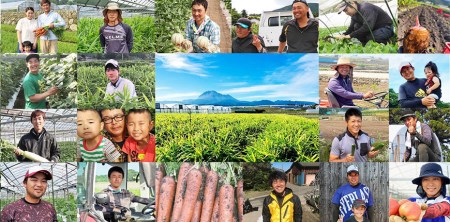 BE279【令和8年度出荷分】5月下旬から出荷！ 朝どれ スイートコーン L×11～15本セット (4.5kg入) ～名水百選の里 島原産～