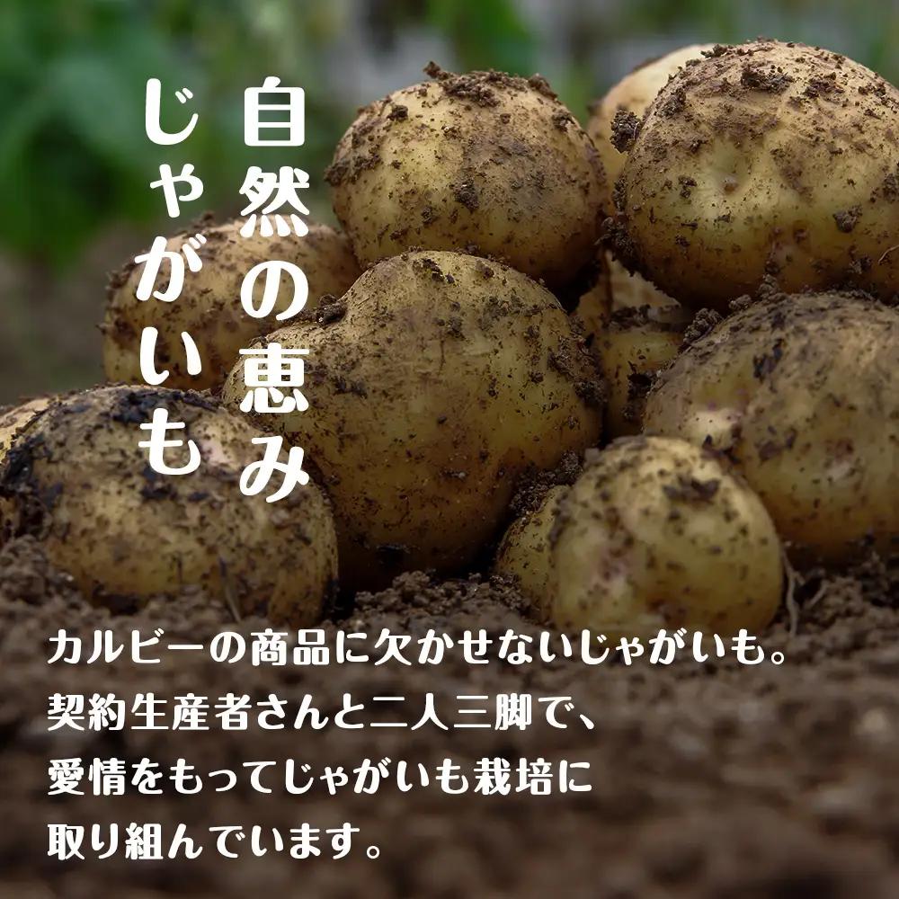 【定期便2カ月】カルビーポテトチップス＜のりしお＞16袋入×1箱《千歳工場製造》