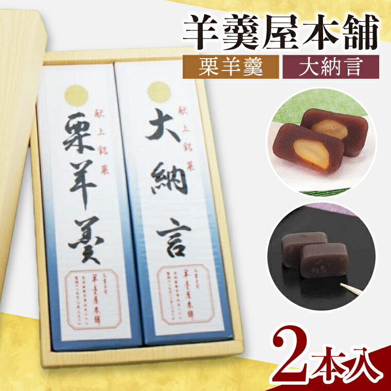 【ふるさと納税】羊羹屋本舗「羊羹」2本セット（AM007）