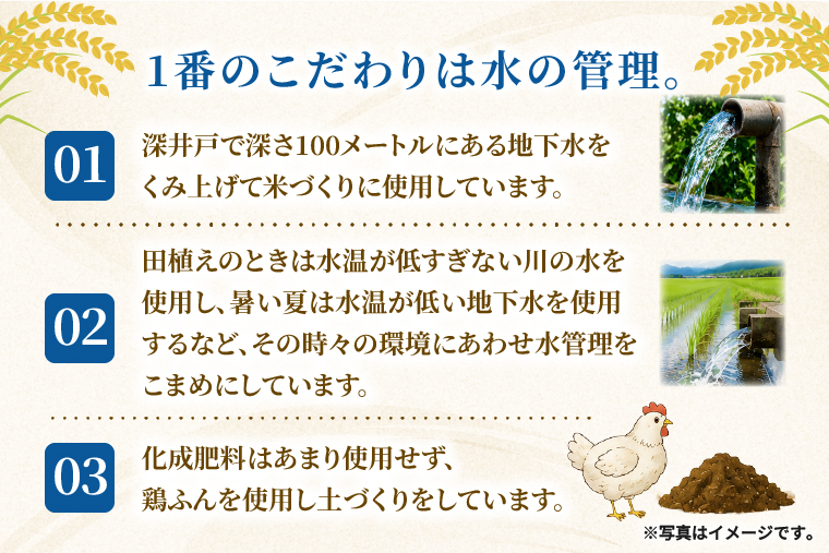 米 コシヒカリ 精米 5kg 令和8年産 こめ こしひかり 茨城県産 農家直送 先行予約 単一米 単一原料米 茨城県 阿見町 【2026年10月中旬より順次発送】（68-01）