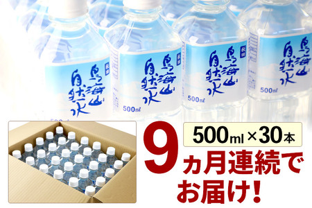 《定期便9ヶ月》鳥海山自然水(500ml)30本×9か月連続 計270本