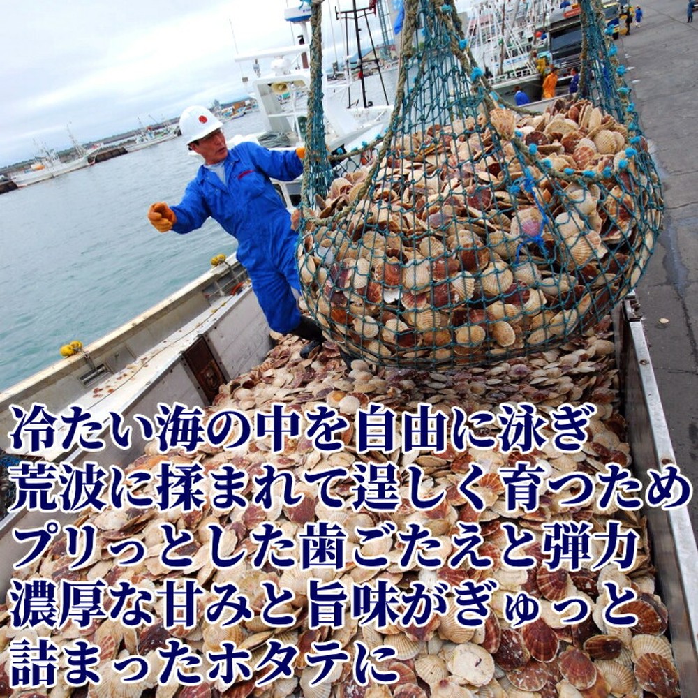 26-40 北海道オホーツク海産ホタテ玉冷ジャンボサイズ(1kg)