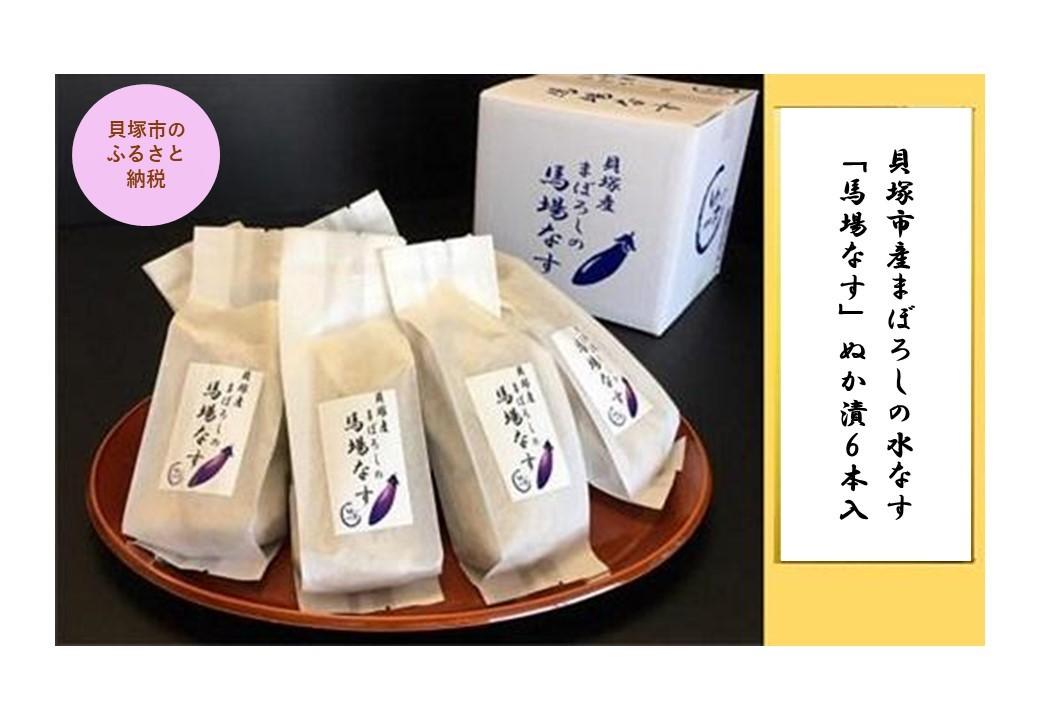 【ふるさと納税】貝塚市産まぼろしの水なす「馬場なす」ぬか漬　6本入 | 糠漬け 水ナス 漬物 ご飯のお供