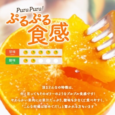 紅まどんなと同じ品種《頂まどんな》ご家庭用 3kg 【C31−22】【1329228】
