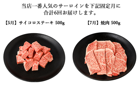 【年6回】伊賀牛 A5サーロイン 定期便コースC 総合計約2.9kg【dido-tkb0011】
